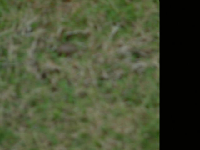 dscf0021.jpg