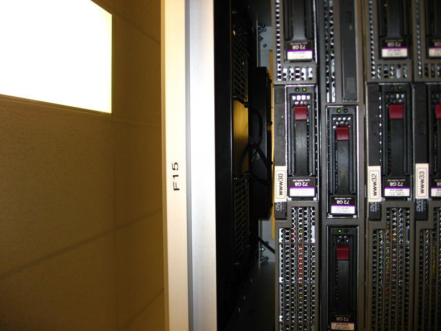 IMG_4541.JPG