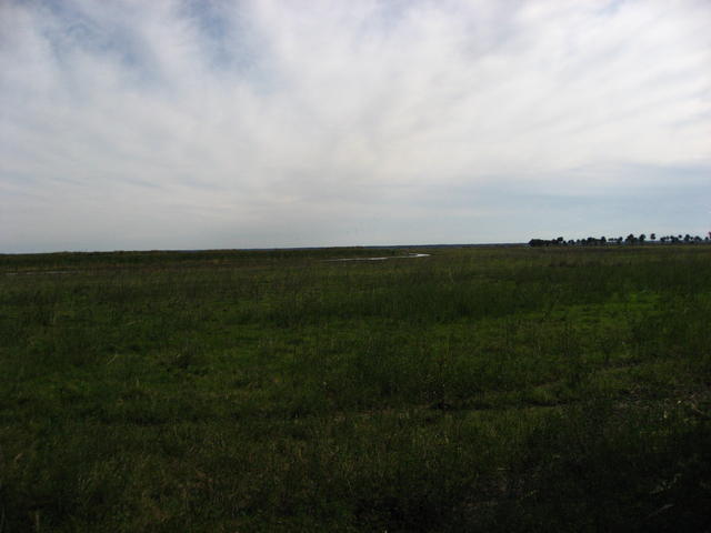 IMG_4318.JPG