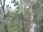 20031019-173333