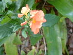 20040502-174901