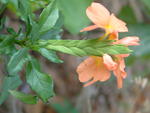 20040502-175009