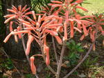 20040509-124011