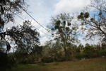 20060202-003022