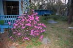 20060302-071948