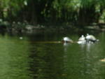 20030510-130651