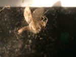 DSCF0121