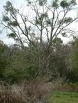 DSCF0033
