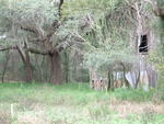 DSCF0035