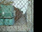 dscf0017.jpg