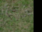 dscf0021.jpg