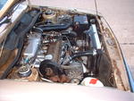 2006_1227_171722AA.JPG