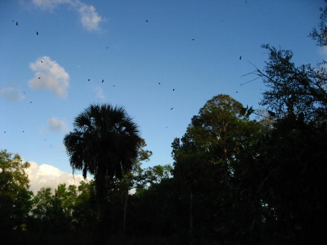 IMG_0177.JPG