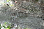 IMG_3075.JPG