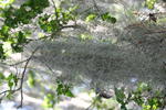 IMG_3076.JPG
