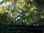 IMG_3942.JPG