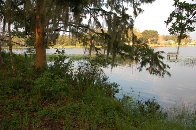 DSC_0302.JPG