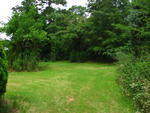 IMG_4590.JPG