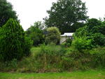 IMG_4594.JPG