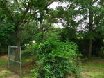 IMG_4606.JPG