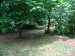 IMG_4620.JPG