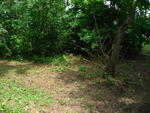 IMG_4621.JPG