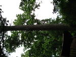 IMG_4625.JPG
