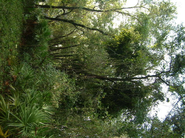 20040814-081824