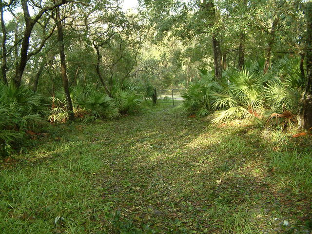 20040814-081917