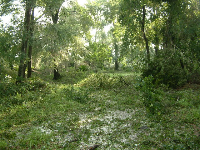 20040814-081922